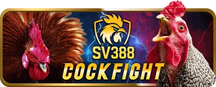 Trải nghiệm chơi slot game trên di động tại pp88 chính thức